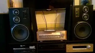 Акустические системы Виктор Зеро - Victor zero 30 fx