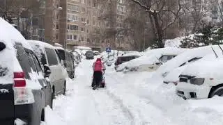 Горожане самостоятельно чистят снег