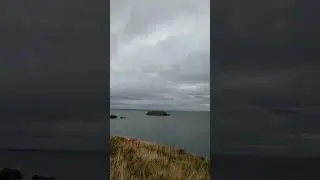 Carrick a Rede , Belfast