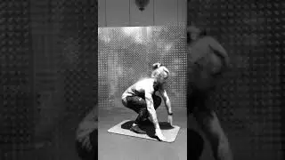 Burpee