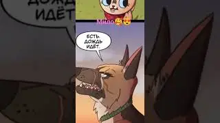 Пикси и брут