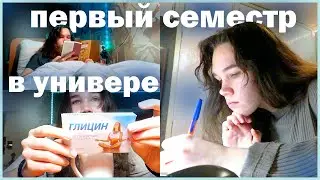 первый семестр, коллоквиумы, проблемы со сном