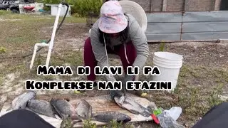 Kisa lavi a ofri w zanmim? Gade vide sa Ou pap regrèt