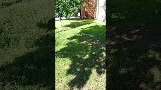 Типичный Петербург
