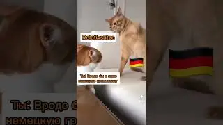 Немецкая грамматика легкая 🤓 #немецкийснуля #lernedeutsch