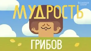 Мудрость грибов 🍄 | ВОЛШЕБНЫЙ САДИК | Сезон 2