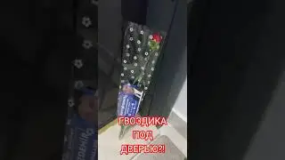 Ужас! Кто-то подложил гвоздику на пороге!!! Зачем?