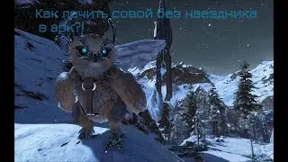 Как лечить совой без наездника в арк?