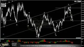 Forex con Café del 17 de Octubre del 2024