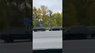 КАК ОНИ СТЕЛЯТ! 