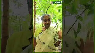 IAS -ஆ இருக்கும்போது சொன்னதையெல்லாம் இப்போ என் சொந்த காசுல செஞ்சிருக்கேன் | Santha sheela Nair