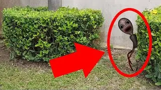 Forgotten Baby Jumpscare