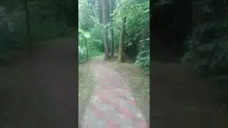 VID 20210701 071355
