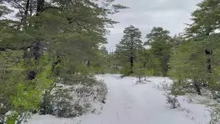 Alpine Adventure Virtual Hike 4K (With Ambient Nature Sounds And Music)