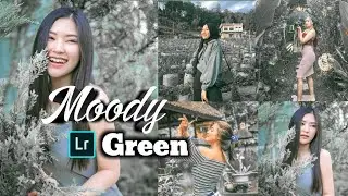 Tutorial edit foto lightroom | Moody dark green | Lightroom mobile preset