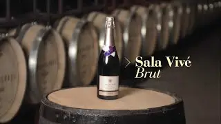 Cata en Corto - Sala Vivé Brut