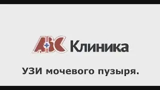 Урология. Узи мочевого пузыря.