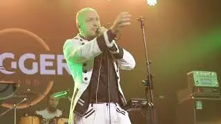 АрктидА - Кот Бегемот