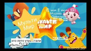 мультимир