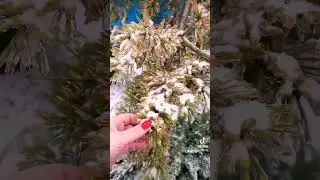 Агент по недвижимости 89189542292 Ирина, 