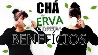 Benefícios, como secar e como fazer o chá de erva cidreira