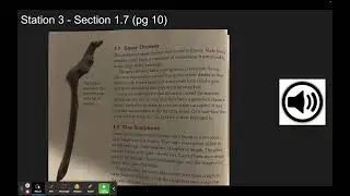 1.7 Spear Thrower