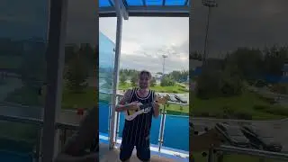 Что делать в любой непонятной ситуации? #укулелекавер