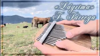 'Lágrima' by Francisco Tárrega - Bolf Lara Kalimba Cover