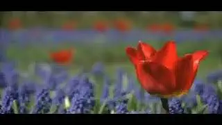 CE-I VIATA MEA- poezie,recita Claudia Bogdan