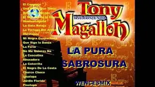 TONY MAGALLON MIX LA PURA SABROSUR....wencesmix