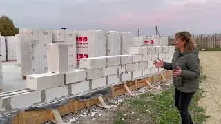 Русская ива. 2 месяца после пожара.