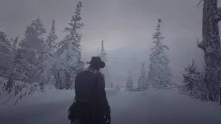 rdr2
