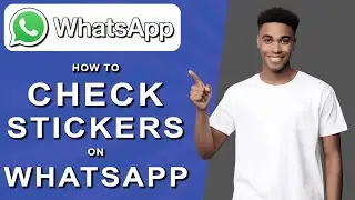 How to check stickers on whatsapp (2024)