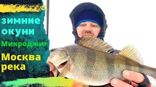 Зимние окуни . Спиннинг на Москва реке в декабре .