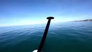 La Jolla Shores Paddling 2