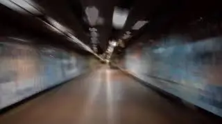 убежище 2018