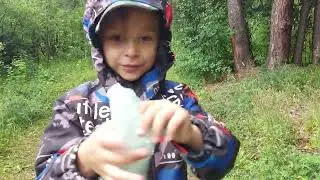 СХОДИЛИ ЗА ГРИБАМИ