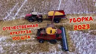 ЗИМА 2023. Гриднев, уборка, сушка, истории из жизни …