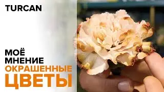 Painted Flowers. My Opinion. How to Work with Them / Dmitry Turkan 
