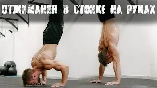 ОТЖИМАНИЯ В СТОЙКЕ НА РУКАХ - выполняй эту тренировку | SMART TRAINING