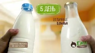 Ежи молоко