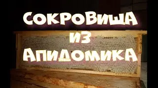Сокровища из Апидомика