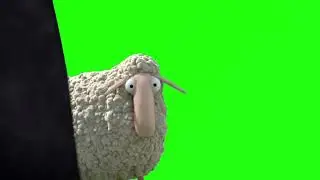 Oh Sheep! Green Screen #greenscreen