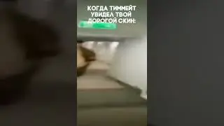 Когда тиммейт увидел что у тебя дорогой скин в 