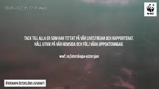 Ännu en gång sände vi live under ytan i projektet Återskapa Östersjöns livskraft!