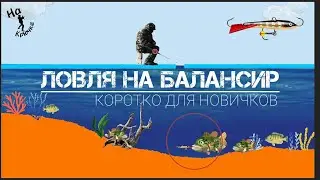 Balance beam, perch, pike perch, and pike on a balance beam. Briefly about balance beam fishing f...