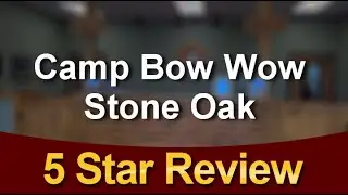 Camp Bow Wow Stone Oak San AntonioRemarkable5 Star Review by Tiffanei R.