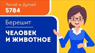 Человек и животное