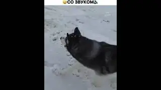 сброса небыло