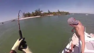 Shark fishing Redfish Pass